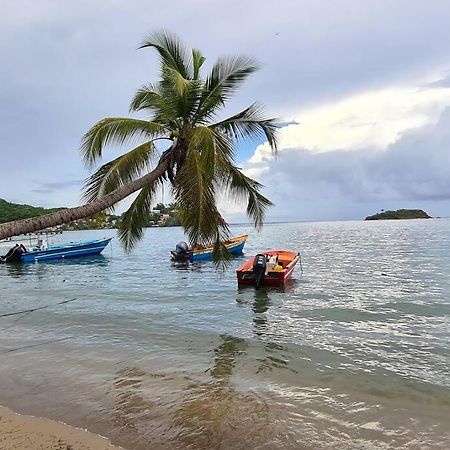 Appart Turquoise Tartane La Trinité Dış mekan fotoğraf